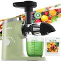 What Kind of Juicer is Best for Celery