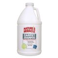 Best Carpet Cleaner Solution for Pets