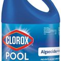 Best Way to Remove Dead Algae from Pool