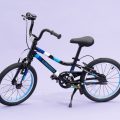 Best Bike With Training Wheels for 4 Year Old: Top Picks Reviewed